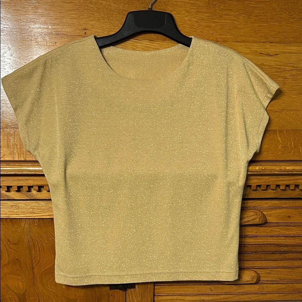 Vintage Gold Metallic Knit Top Clean Girl Elevated Short Sleeve Sparkle Blouse